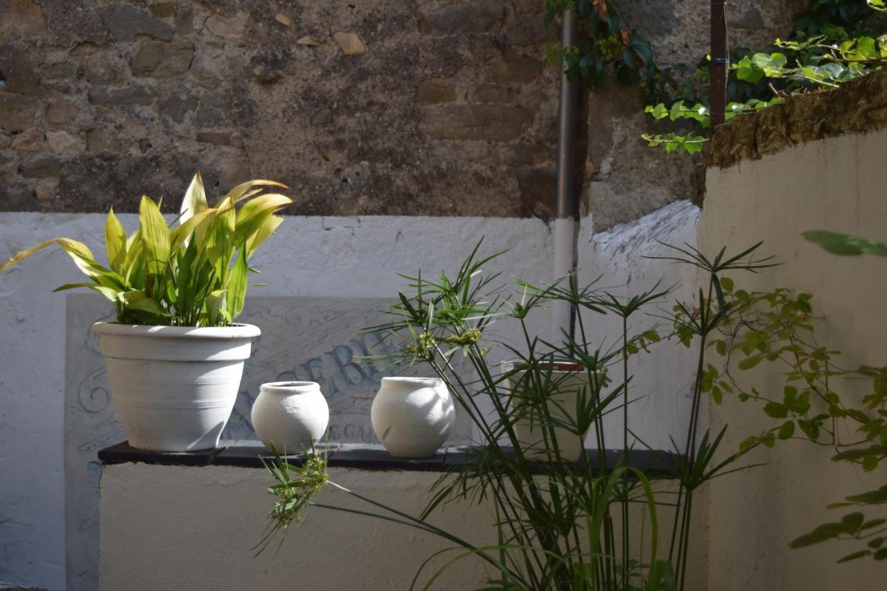 Caunes-Minervois L'Ancienne Boulangerie Bed & Breakfast エクステリア 写真