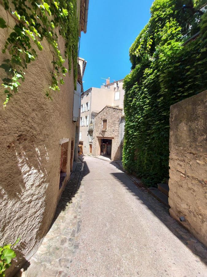 Caunes-Minervois L'Ancienne Boulangerie Bed & Breakfast エクステリア 写真