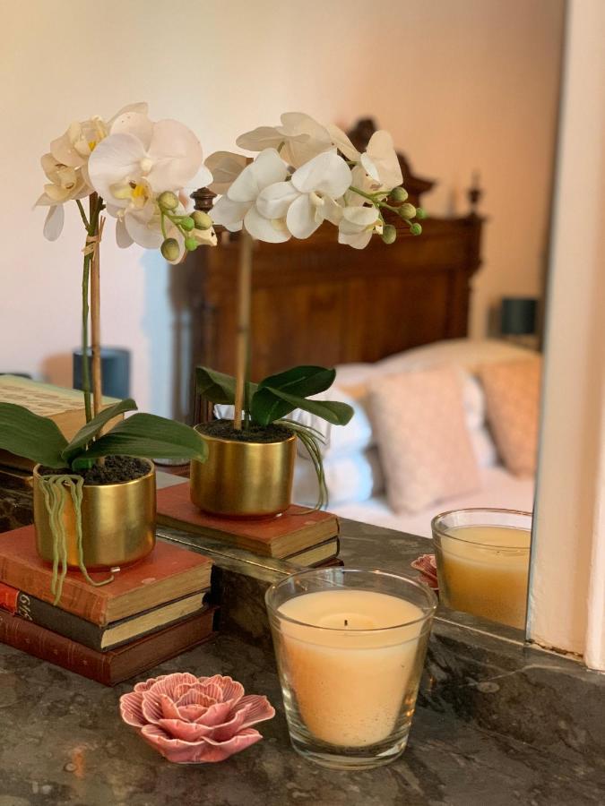 Caunes-Minervois L'Ancienne Boulangerie Bed & Breakfast エクステリア 写真